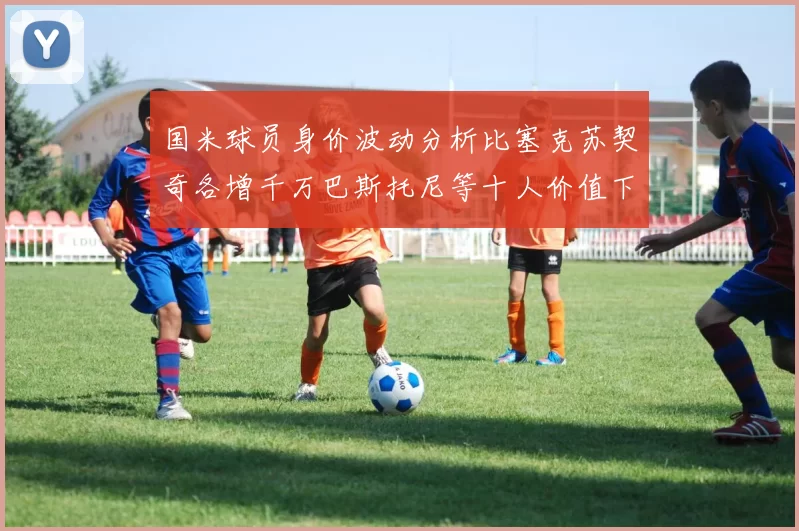 国米球员身价波动分析比塞克苏契奇各增千万巴斯托尼等十人价值下滑